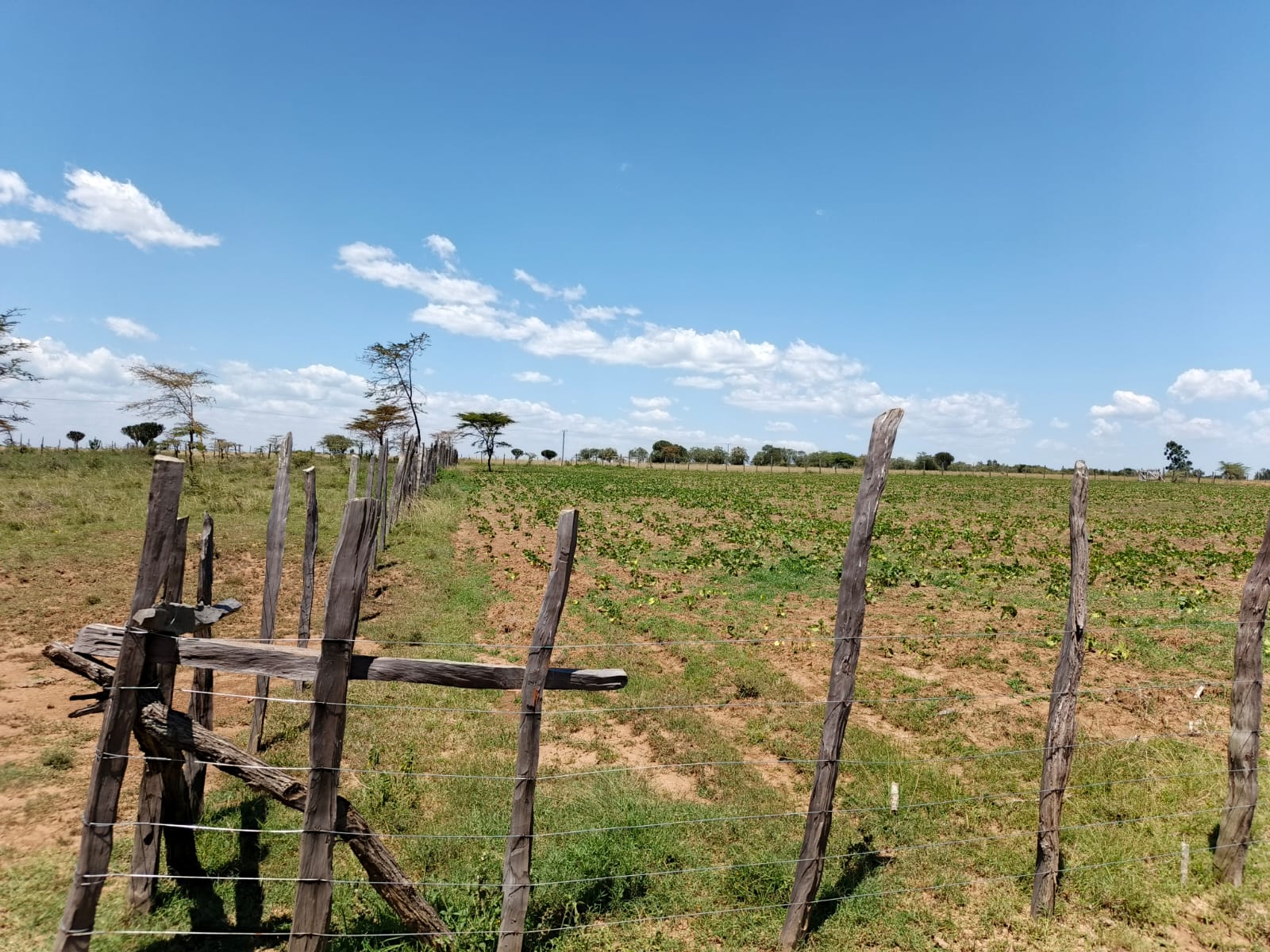Plots for sale Crasher Narok Town